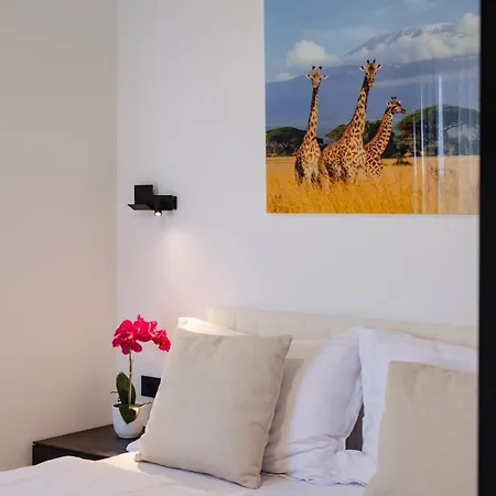 Fiducia - Modern Close To Porec